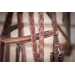 Hunter US Bridle - Chestnut & Havana