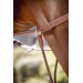 Bip Light US Elastic Martingale Attachment - Chestnut
