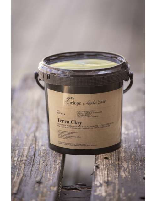 Argile Rose Pénélope x Alodis Care Terra Clay - 1 kg