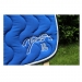 tapis bleu roi point sellier blanc aux bords marine