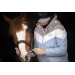 Bridon Daily Strass - Havane