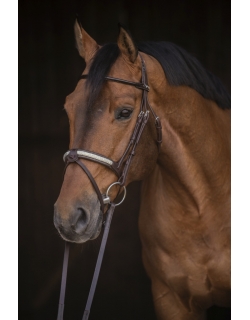 Symphonie Bridle - Havana