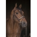 Symphonie Bridle - Havana