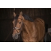 Symphonie Bridle - Havana