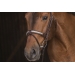 Symphonie Bridle - Havana