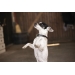 Collier pour Chien Olie - Noir