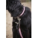 Collier pour chien Billie - Rose