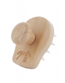 Massage Brush